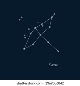 Science astronomy, star chart on deep blue background. Cygnus constellation. Vector illustration. Swan.