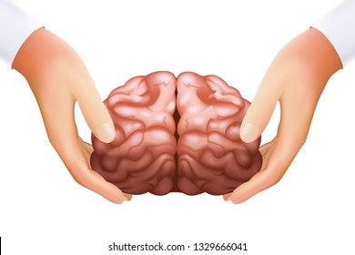 Science concept hands holding human brain mind organ isolated on white icon realistic design 3d template vector illustration