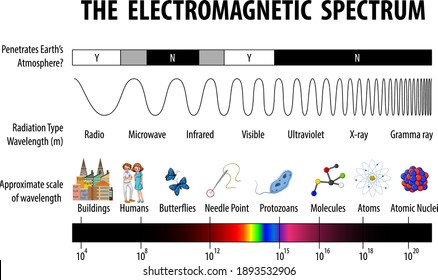 Science Electromagnetic Spectrum diagram illustration