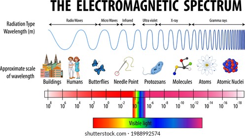 Science Electromagnetic Spectrum Diagram Illustration Stock Vector ...