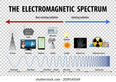 Diagrama del espectro electromagnético científico sobre la ilustración de fondo transparente