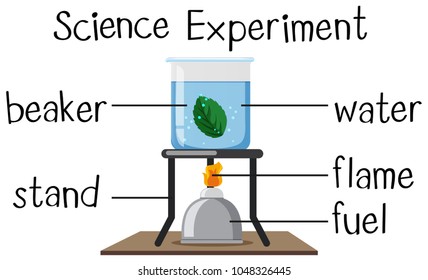 Science experiment with boiling leaf illustration