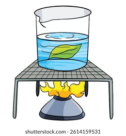 Science experiment with boiling leaf illustration