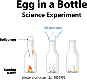 Science experiment to do at home with egg in a bottle illustration