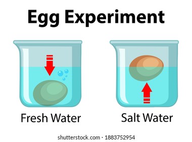 Freshness floating by for eggs test Egg Freshness