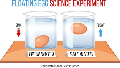 Experimento científico con huevos de prueba para la ilustración de la frescura