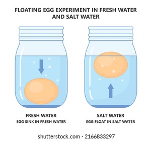 Science experiment with water and egg float test in glass jar Salty sink fresh