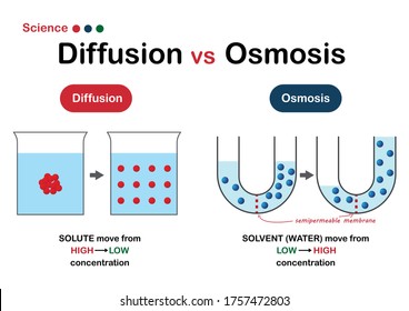 3,738 Diffusion science Images, Stock Photos & Vectors | Shutterstock