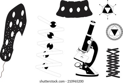 Science illustration