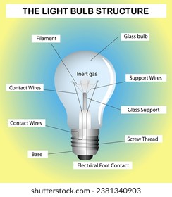 Science infographics. The light bulb structure. Vector illustration