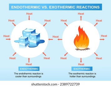 Ilustración vectorial de infografía científica. Diagrama de reacciones endotérmicas y exotérmicas