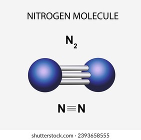 Science infographics vector illustration. Nitrogen molecule on a white background 