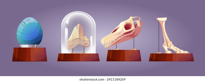 Science museum exhibits set isolated on background. Vector cartoon illustration of dinosaur egg, skull, skeleton bones on wooden stand under glass cover, prehistoric animal remnants, paleontology