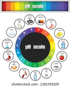 Science Ph Scale Template Vector Stock Vector (Royalty Free) 2181593329 ...