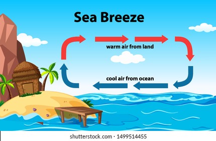 Science poster design for sea breeze illustration