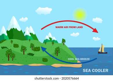 Science poster design for sea and land breeze. Thermal warm and cold air circulation diagram. Diagram showing circulation thermal and cool wind. Stock vector illustration svg