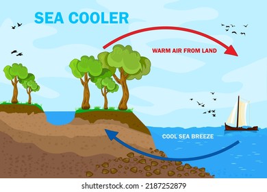 Science poster design for sea and land breeze. Shore wind scheme. Air movement with thermal warm and cold air circulation diagram. Local weather cause. Formation of weather in a certain area. Vector