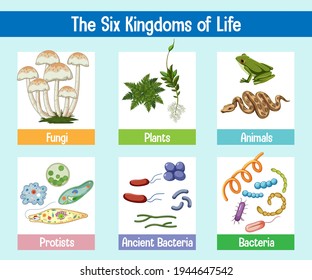 Science poster of six kingdoms of life illustration