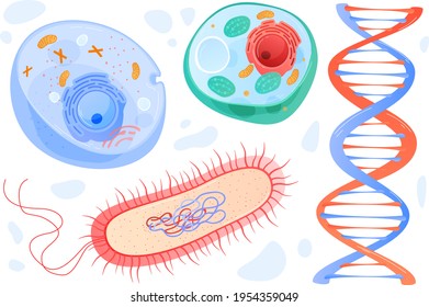 Science for study dna, human cell in cut under microscope, medical research, cartoon style vector illustration, isolated on white.