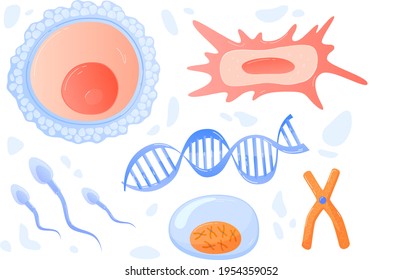 Ciencia para el adn de estudio, célula humana en corte bajo microscopio, investigación médica, ilustración vectorial estilo caricatura, aislada en blanco.