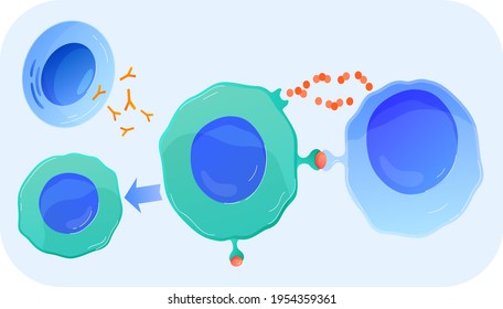 Science for study dna, human cell in cut under microscope, medical research, cartoon style vector illustration, isolated on white.