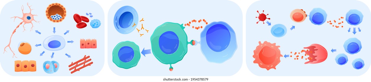 Science for study dna, human cell in cut under microscope, medical research, cartoon style vector illustration, isolated on white.