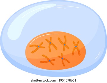 Wissenschaft für die Studie DNA, menschliche Zelle in geschnitten unter Mikroskop, medizinische Forschung, Cartoon-Stil Vektorgrafik, einzeln auf Weiß.