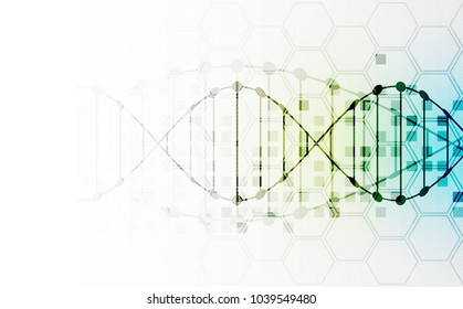 Science template, wallpaper or banner with a DNA molecules. Vector illustration.