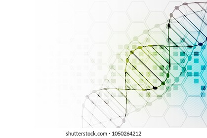 Science template, wallpaper or banner with a DNA molecules. Vector illustration.