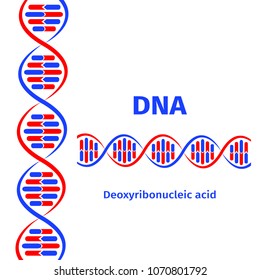 Science template, wallpaper or banner with a DNA molecules. Vector illustration.