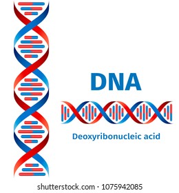 Science template, wallpaper or banner with a DNA molecules. Vector illustration.