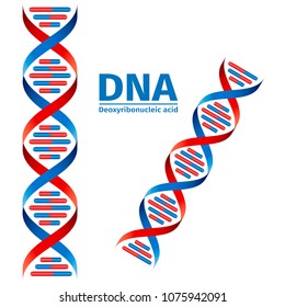 Science template, wallpaper or banner with a DNA molecules. Vector illustration.