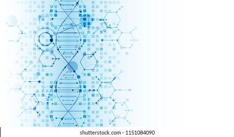 Science template, wallpaper or banner with a DNA molecules. Vector illustration.