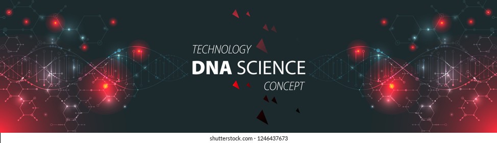 Science Template, Wallpaper Or Banner With A DNA Molecules. Vector Illustration.