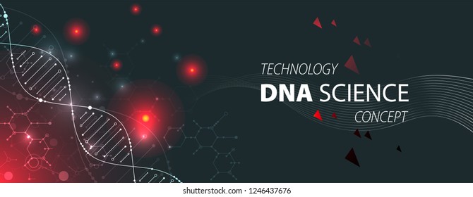 Science template, wallpaper or banner with a DNA molecules. Vector illustration.
