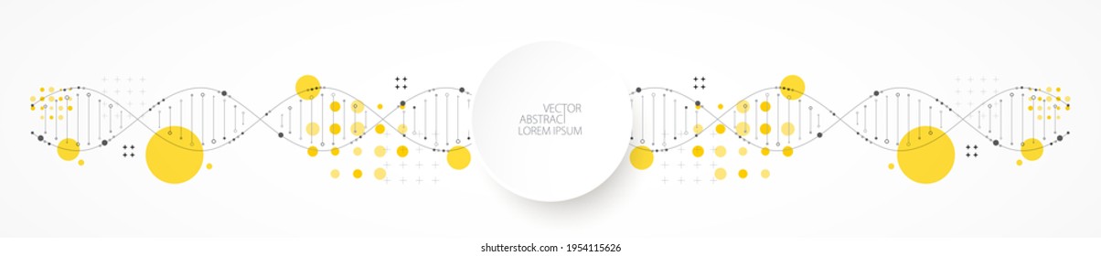 Wissenschaftsvorlage, Bildschirmhintergrund oder Banner mit DNA-Molekülen. Vektorgrafik