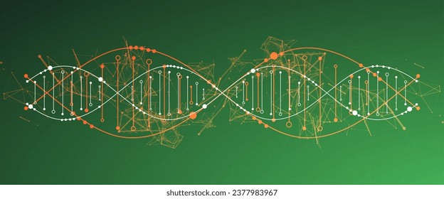 Science template, wallpaper or banner with a DNA molecules. Vector illustration.