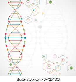 Science template, wallpaper or banner with a DNA molecules. Vector illustration.