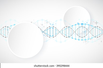 Science template, wallpaper or banner with a DNA molecules. Vector illustration.