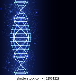 Science template, wallpaper or banner with a DNA molecules. Vector illustration.