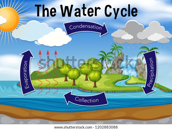 Ilustración Del Ciclo Del Agua