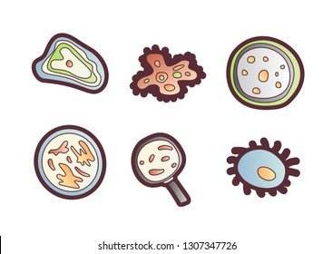 Scientic research cartoon vector icon. Molecules and unicellular organisms under a microscope and magnifying glass. Molecular studies of scientists, a set of vector cartoon style icons on white