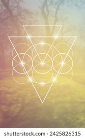 Scientific design template with copy space. Triangles and molecule structure on blurry natural background. Science fiction concept.