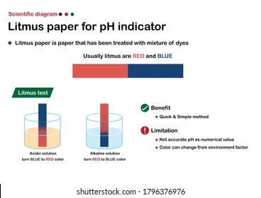 Scientific diagram describe litmus paper for pH indicator