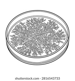 Scientific diagram of a petri dish containing bacterial colonies used for microbiology research, laboratory testing, and medical analysis in healthcare settings.