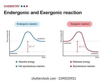 Scientific diagram show difference between chemical reaction of endergonic and exergonic in term of absorb or release energy from reactant to product via enzyme catalyst 