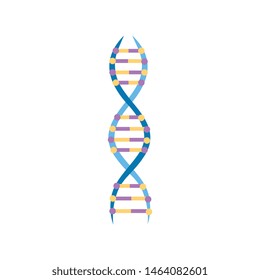 Scientific or educational icon structure of a DNA molecule vector illustration isolated on white background. The spiral molecule of DNA gene in a flat style.