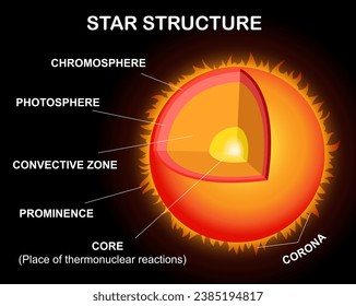 Scientific infographics. Star structure diagram. Education vector illustration