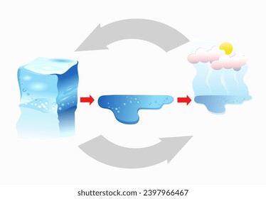 Scientific infographics vector  illustration. Diagram of water forms