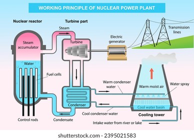 Scientific infographics vector illustration. Working principle of nuclear power plant